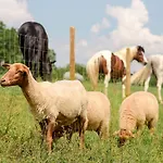 Prázdninový dům Nengshof Wildrose Wißmannsdorf