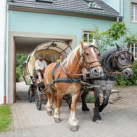 Nengshof Wildrose Dom wakacyjny Wißmannsdorf
