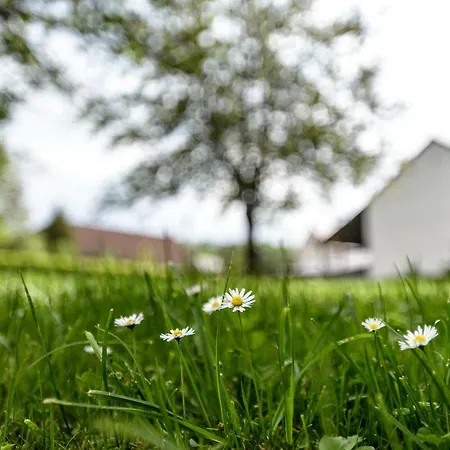 Nengshof Wildrose 펜션 Wißmannsdorf