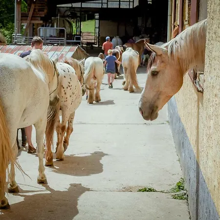 펜션 Nengshof Wildrose