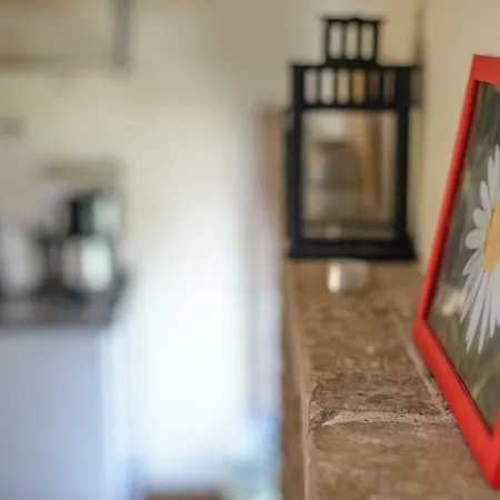 Nengshof Wildrose 펜션 Wißmannsdorf