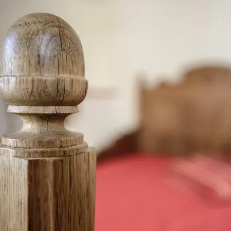 Nengshof Wildrose 펜션 Wißmannsdorf