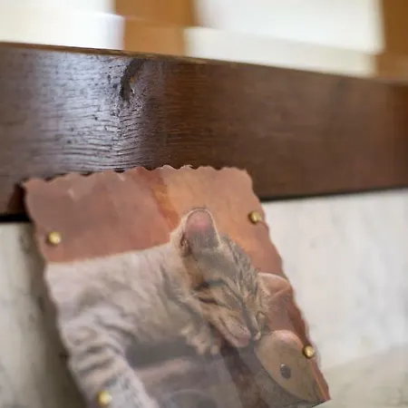 Nengshof Wildrose Prázdninový dům