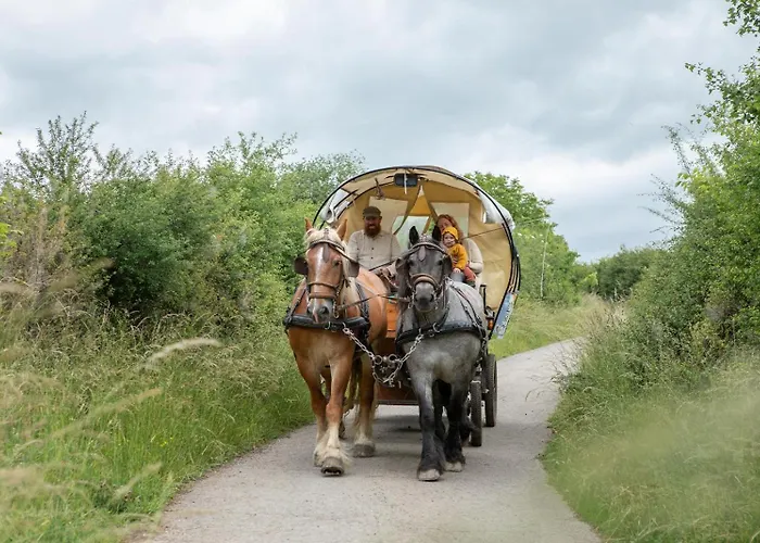 Nengshof Wildrose Висмансдорф