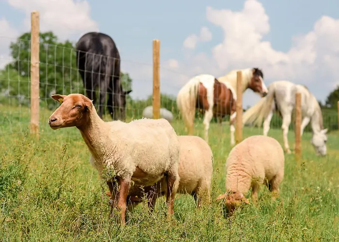 Дом отдыха Nengshof Wildrose Висмансдорф