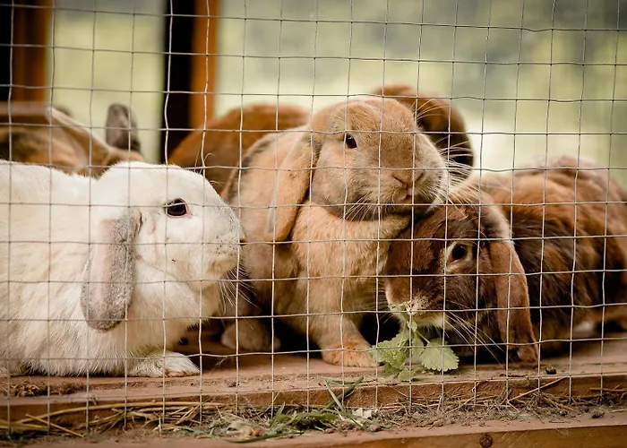 Дом отдыха Nengshof Wildrose