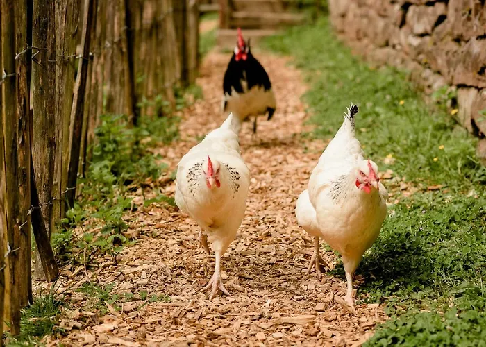 別荘 Nengshof Wildrose Wißmannsdorf