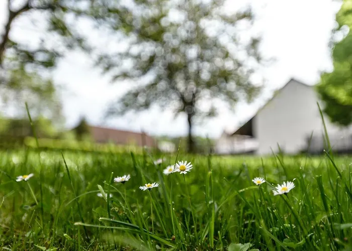 Nengshof Wildrose Σπίτι διακοπών Wißmannsdorf