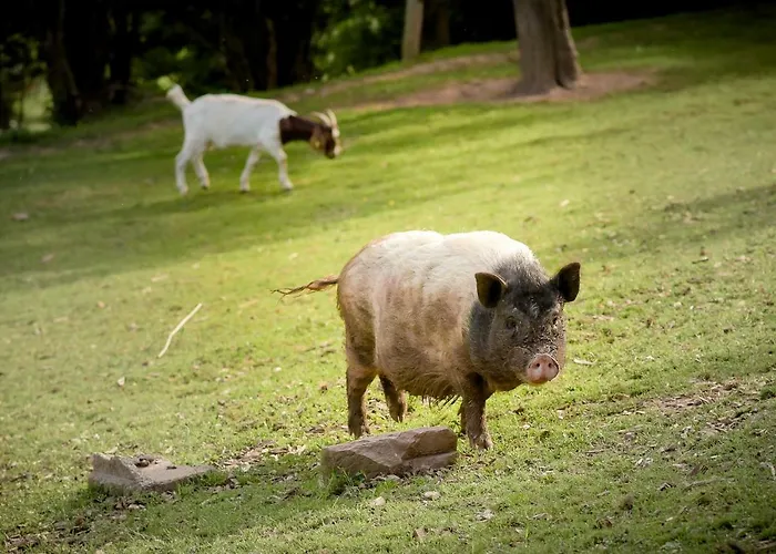 Σπίτι διακοπών Nengshof Wildrose Wißmannsdorf