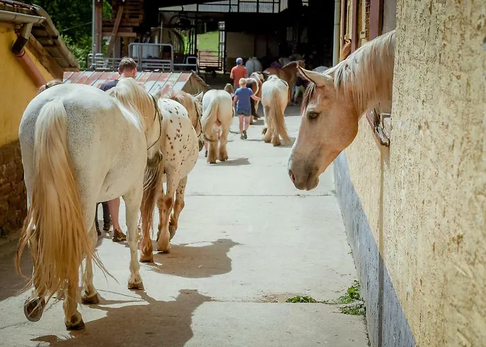 別荘 Nengshof Wildrose