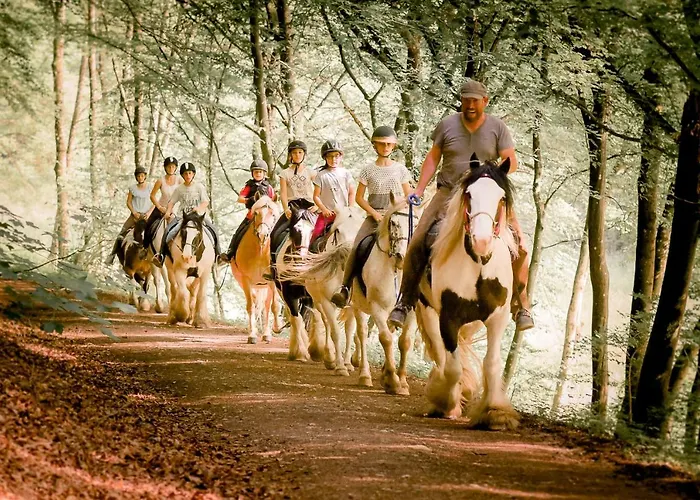 別荘 Nengshof Wildrose Wißmannsdorf