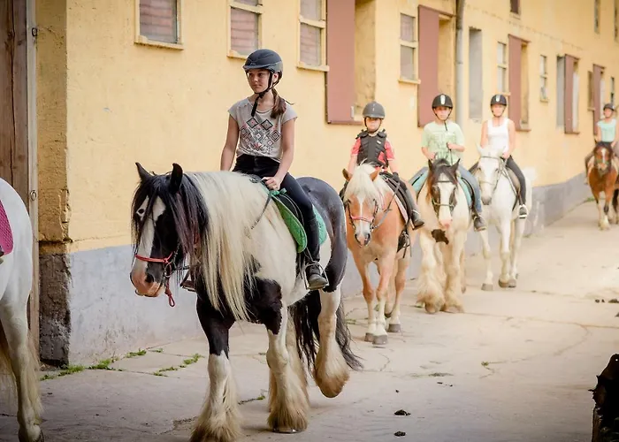 Nengshof Wildrose * Wißmannsdorf