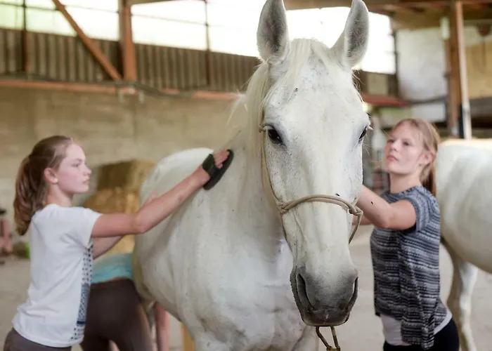 Nengshof Wildrose * Wißmannsdorf