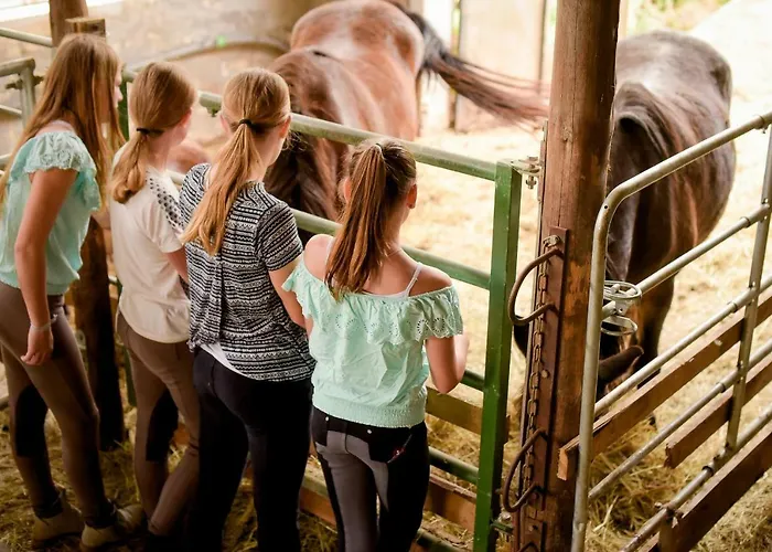 別荘 Nengshof Wildrose *