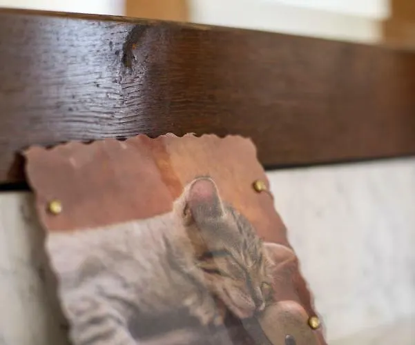 Nengshof Wildrose Σπίτι διακοπών