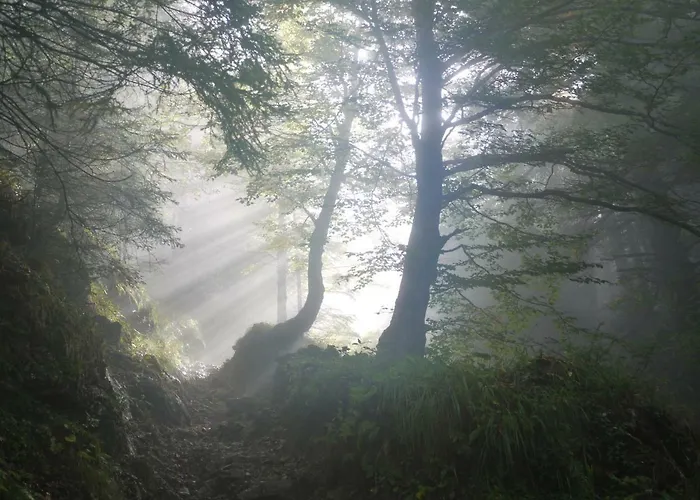 Nengshof Wildrose 別荘